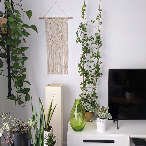 Room after cat-safe plant setup
