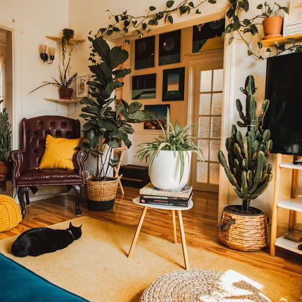 Cat-safe indoor garden