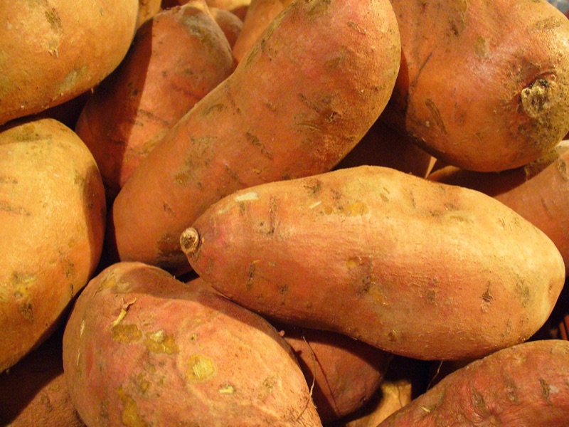 Photo of Sweet Potato Vine